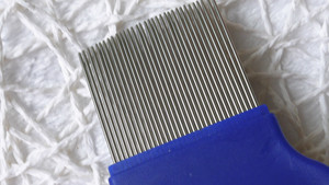 Commercio all'ingrosso di lusso in acciaio inox e plastica Pet pettine Logo personalizzabile di piccole dimensioni per la pulizia del cane gatto delle pulci Tick pidocchi rimozione Nit - Product Image 6