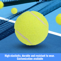 Ballon de tennis gonflable géant WELSTAR 9,5'' durable, imprimé sur mesure pour le jeu des chiens – Meilleure vente
