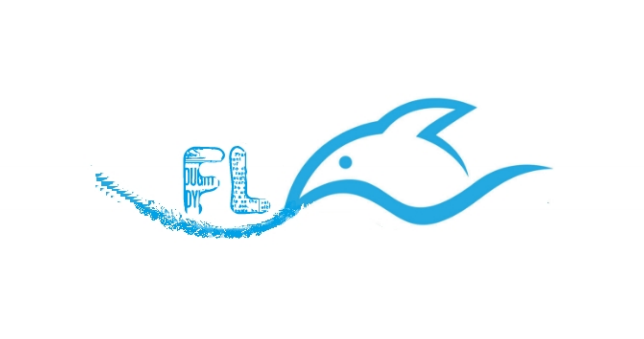 Hangzhou Fly Textile Co., Ltd. logo