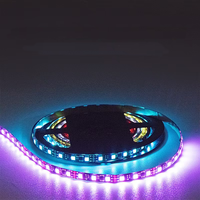 Bande lumineuse LED flexible WS2812B Epistar 5050 SMD RGB pour IP65 étanche, DC5V, pour la décoration de jardin