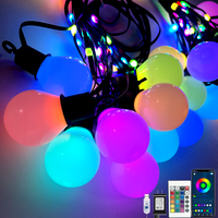 G40 Étanche Jardin Extérieur Mariage Camping Fête Décoration RGB Smart Globe Ampoule 10m 48ft LED Guirlande Festoon Holiday String Light