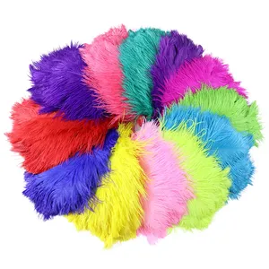 Vente en gros de plumes <span class=keywords><strong>d</strong></span>'<span class=keywords><strong>autruche</strong></span> magnifiques de 45-50 cm, pour la création de bijoux DIY, la <span class=keywords><strong>d</strong></span>écoration de mariage, la <span class=keywords><strong>d</strong></span>écoration de fête, la <span class=keywords><strong>d</strong></span>écoration de la maison, multicolores - Product Image 1