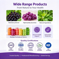 Gummies de sureau HACCP Halal USDA avec Vitamine C, Vitamine D, Zinc, saveur naturelle de sureau noir, 60 unités, emballage personnalisé OEM