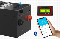Batería LiFePO4 de 12V 24V 36V 300Ah para RV, Barco, Nave, Solar, Batería de Litio de Ciclo Profundo de 12V