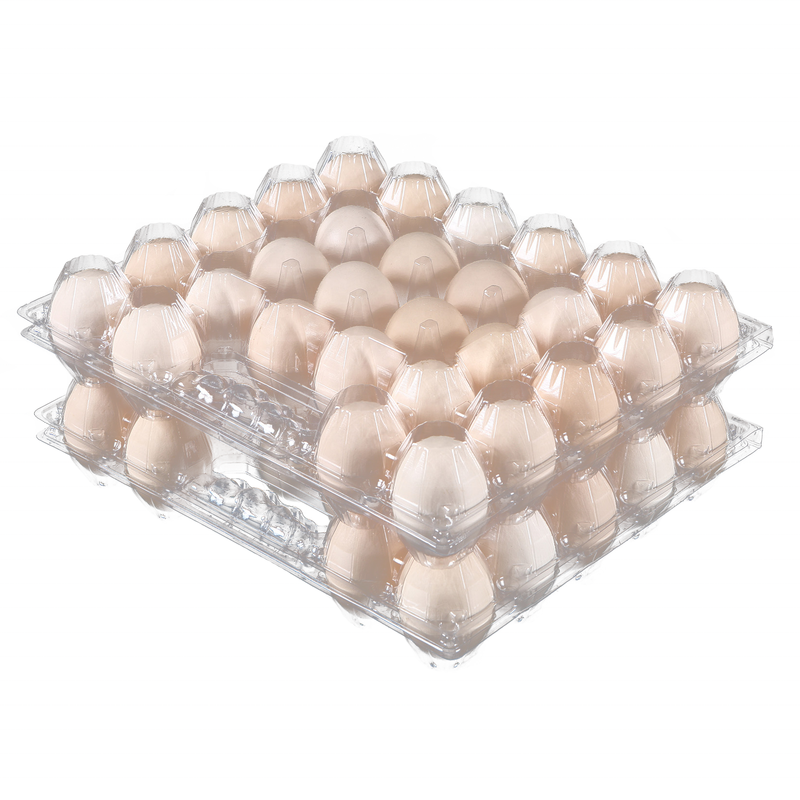 Not Eggs Sale Plastic 10