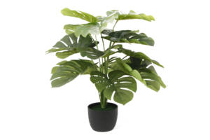 Usine pas cher prix intérieur réaliste Monstera <span class=keywords><strong>Albo</strong></span> plantes Deliciosa grand artificiel vert bonsaï plantes pour la décoration de la maison - Product Image 3