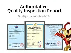 Triciclo Elettrico Motorizzato HOT per Adulti, Moto a 3 Ruote, Bici da 1000W, Veicolo Taxi, Moto Elettrica - Product Image 6