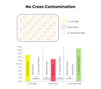 Kit ADN ZymoBIOMICS 96 MagBead pour le profilage automatisé du microbiome à haut débit à partir de selles et de sol