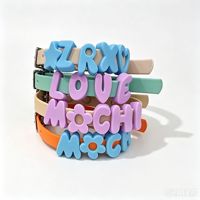 Ensemble collier et laisse pour chien en PVC personnalisé de luxe, coloré, imperméable, doux, avec lettres et breloques DIY