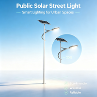 Lampe Intelligente Hybride Éolienne et Solaire Intégrée pour Route et Extérieur YD-TYN-14