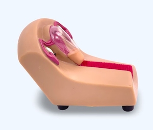 Simulador de Ciencias Médicas, Serie de Enseñanza Médica, Modelo de Guía de Anticoncepción y Parto - Product Image 5