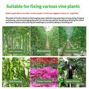 Clip de suspension DaringFish pour semis de concombres, tomates, melons, courgettes et autres légumes en serre - Product Image 3