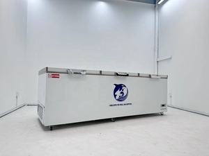 Congélateur coffre à basse température 1000 litres pour thon, saumon et poissons de haute mer - Product Image 2