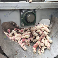 Usine complète de transformation du manioc, sécheurs d'amidon de manioc, machine de séchage de chips de gingembre et de manioc