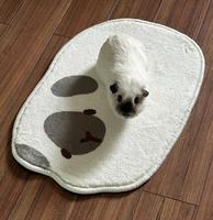 Tapis 3D antidérapant mignon moderne pour la maison et les enfants, tapis personnalisé pour la chambre à coucher