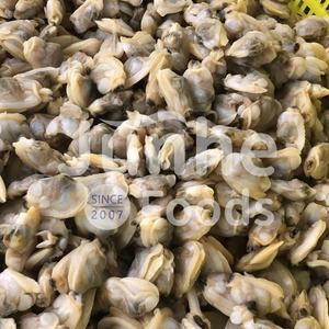 Aperitivo de mariscos picantes <span class=keywords><strong>precocinados</strong></span> congelados estilo restaurante japonés Ensalada de almejas sazonada lista para comer con mariscos - Product Image 6