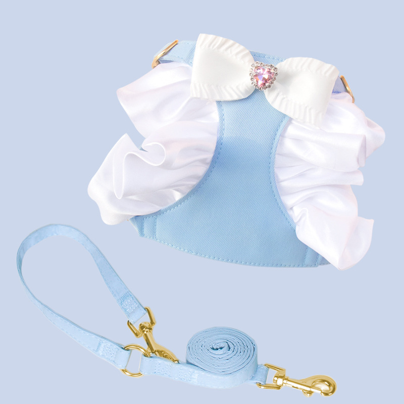 Blue bow-matching leash
