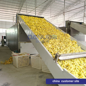 Secadora de Malla de Bajo Costo Fabricada para Agricultura, Deshidratador de Hierba y Flores - Product Image 3