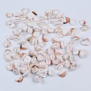 Hochglanz polierte weiße Farbe Muschel Natural Craft Loose Cowrie Sea Shell für DIY