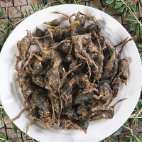 Viande de caille lyophilisée biologique de haute qualité, nutritive et sans danger pour la consommation, vente directe d'usine, nourriture pour chat