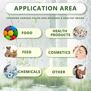 La nutrizione OEM integra magnesio treonato 500mg magnesio L-treonato capsule - Product Image 3