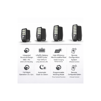 Lampadaire Solaire LED SMD Intégré Tout-en-un 300W à Prix de Gros Chine, Étanchéité IP65, Batterie LiFePO4 pour Usage Paysager et Routier
