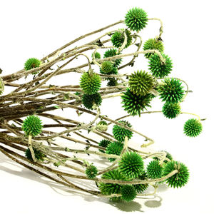 Fleurs de <span class=keywords><strong>chardon</strong></span> <span class=keywords><strong>bleu</strong></span> naturelles séchées, fleurs florales, feuillage, <span class=keywords><strong>chardon</strong></span> <span class=keywords><strong>bleu</strong></span> préservé - Product Image 3