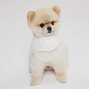 Summer Cooling Soft Cotton/Polyester Dog Harness Ultra Comfortable Padded Design Cats Dogs Soft Cotton/Polyester Dog Harness - Product Image 1