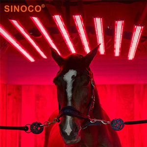 Instrument de thérapie par la lumière infrarouge et rouge SINOCO 1200W pour chevaux chauffage vétérinaire gradation bain de soleil <span class=keywords><strong>Solarium</strong></span> dispositif - Product Image 1