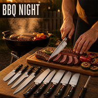 Ensemble de 13 couteaux de chef en acier inoxydable tranchants pour la cuisine domestique, le barbecue familial, les grillades et les dîners de steak au quotidien