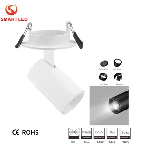 Luminaria LED de Riel de Alta Eficiencia de Diseño Europeo para Interiores, de Aleación de Aluminio, 1/2/3 Cabezas, Regulable Triac/Dali, 2/3/4 Hilos, CRI95, 3500K Cálida - Product Image 4