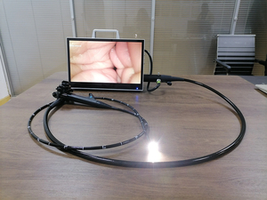 Gastroscopio y Colonoscopio Flexible de Imagen HD para Hospital Veterinario, Endoscopia, Broncoscopia, Nasofaringoscopia Rígida, Laparoscopia - Product Image 5