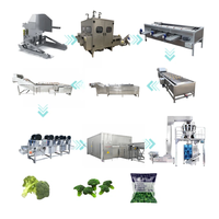 Industriële automatische roestvrijstalen 304 turnkey complete machines voor het vriesvoorraad van groenten en fruit, zoals broccoli, sperziebonen en aardbeien