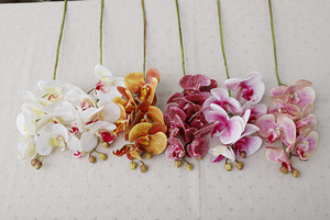 ดอกกล้วยไม้ฟาแลนนอปซิสประดิษฐ์แบบขายส่ง 6 หัว สัมผัสเหมือนจริง ตกแต่งโรงแรม บ้าน สำนักงาน วัสดุอ่อนนุ่ม เป็นมิตรกับสิ่งแวดล้อม เหมาะสำหรับใช้ในเชิงพาณิชย์ - Product Image 5