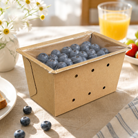 Boîte en carton kraft ventilée sur mesure pour fruits et légumes, emballage pour baies et raisins, thermoscellable, fabrication OEM