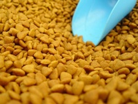 Machine extrudeuse automatique à double vis pour aliments pour animaux de compagnie, ligne de fabrication industrielle complète d'aliments secs pour chiens et chats