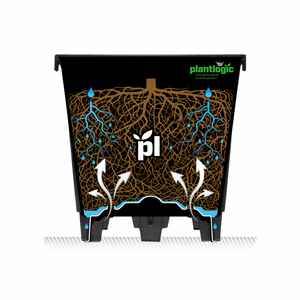 Pot de culture carré respirant en plastique et terre cuite pour serre, idéal pour la plantation de jeunes plants de myrtilles - Product Image 3