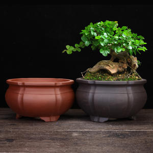 <span class=keywords><strong>Pot</strong></span> en argile violette Yixing, <span class=keywords><strong>pot</strong></span> à fleurs créatif en céramique, <span class=keywords><strong>grand</strong></span> <span class=keywords><strong>pot</strong></span> <span class=keywords><strong>de</strong></span> bureau, idéal pour plantes, bonsaïs, orchidées papillon, vente en gros - Product Image 2