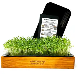 Kit de cultivo de microverdes para jardinagem interna, kit de cultivo com auto-água, kit de cultivo de microverdes para todos