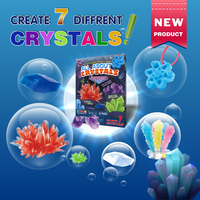 Fabricant de jouets ODM/OEM BIG BANG SCIENCE, kit scientifique de culture de cristaux personnalisé, cultivez 7 cristaux, jouet éducatif STEAM à faire soi-même