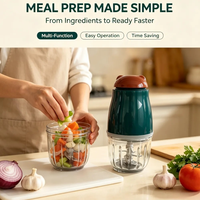 Mixeur Électrique Portable en Verre pour Aliments Bébé, Mini Hachoir à Viande et à Ail à Faible Bruit et Fonctionnement Silencieux pour Usage Domestique
