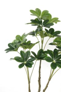 Árbol <span class=keywords><strong>de</strong></span> <span class=keywords><strong>la</strong></span> Fortuna Artificial <span class=keywords><strong>de</strong></span> Plástico <span class=keywords><strong>de</strong></span> 117 cm con 21 Hojas, Bonsái Artificial Ecológico para Uso en Interiores/Exteriores, Vida Útil <span class=keywords><strong>de</strong></span> 10 Años - Product Image 5