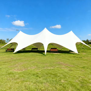 Tente dôme de camping Three Peaks Lotus Cloud en tissu Oxford, imperméable >3000mm, grande tente de camping d'été Camel Peak, auvent à vendre - Product Image 2