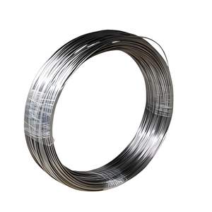 Fine Gr1 0.1mm * 2mm超薄型 & 耐摩耗性ジュエリー作り & 芸術作品用チタンワイヤー - Product Image 1