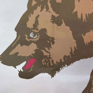 ขายส่งธงแคลิฟอร์เนียขนาด 3x5 ฟุต ผลิตจากผ้าโพลีเอสเตอร์ 100% คุณภาพพรีเมียม พิมพ์ลายดิจิทัลตามสั่ง - Product Image 5