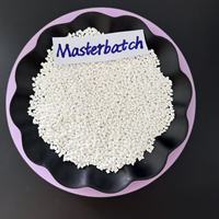 Masterbatch plastique blanc de haute qualité PE PP PET ABS PC pour injection, film soufflé et extrusion