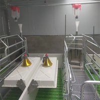 Cage de maternité pour porcs de qualité supérieure, galvanisée à chaud, pour élevage porcin