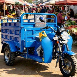 Motocicleta de 3 Ruedas de <span class=keywords><strong>Gasolina</strong></span> de 250cc Económica, Carrocería Resistente, Baja Tasa de Averías, para Uso a Largo Plazo - Product Image 1