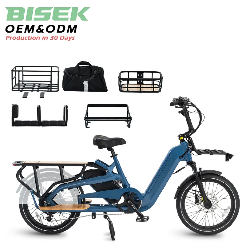 OEM 듀얼 배터리 팻 타이어 20 "x 4.0 전기화물 자전거 ebike e-cargo 가족 e 자전거