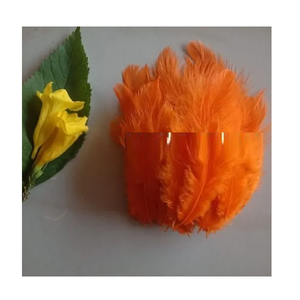 Plumas Pequeñas Teñidas Naturalmente, Suministros para Manualidades, Regalos Personalizados, Accesorios para Disfraces, Arreglos Florales, Decoración del Hogar, Soraj - Product Image 4